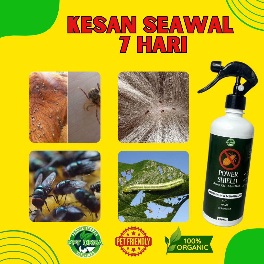 Spray Perlindungan Luaran